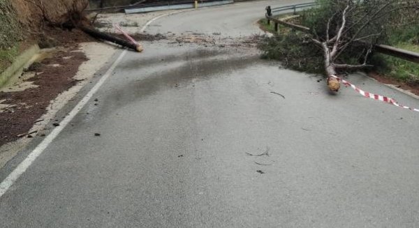 Cortada la carretera de El Burgo a Casarabonela por el desbordamiento del Arroyo de las Doncellas