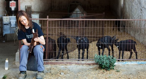 La Junta amplía hasta el 19 de abril el plazo para solicitar las ayudas para jóvenes agricultores