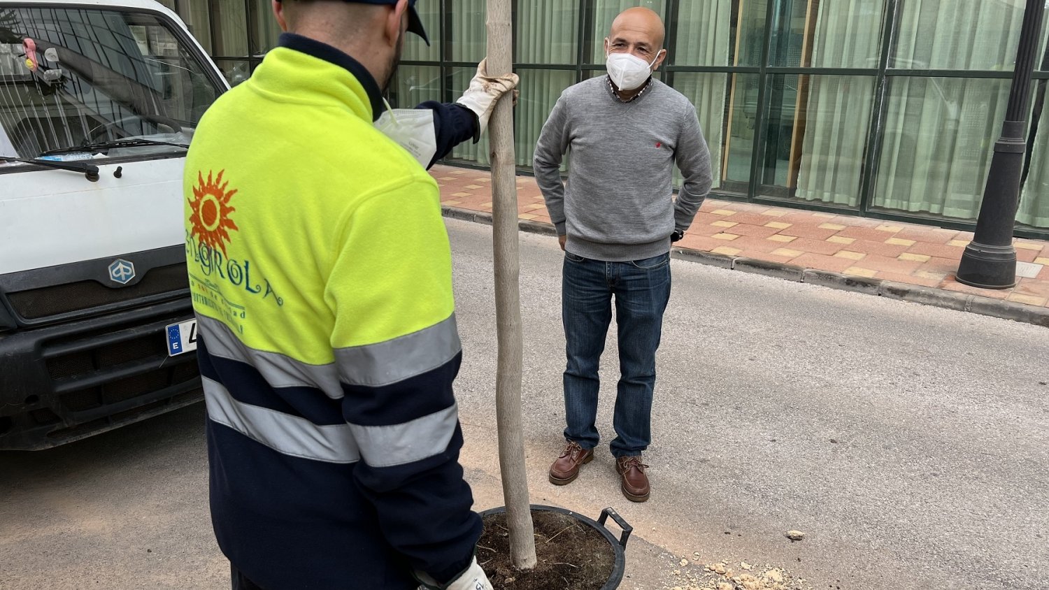 Fuengirola avanza en su Plan de Repoblación Vegetal Urbana con más de 80 árboles repuestos