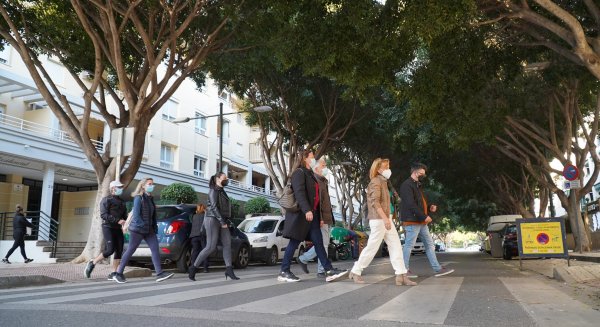 PSOE pide un plan integral de protección del arbolado en Málaga