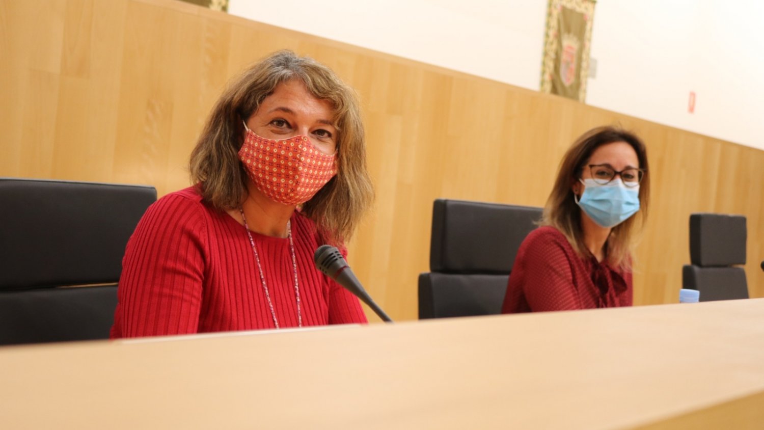 Unidas Podemos pide en Diputación asilo y derechos para todas las personas refugiadas