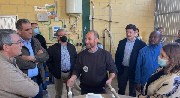 La Diputación y la Asociación Arrabal impulsan la ganadería caprina