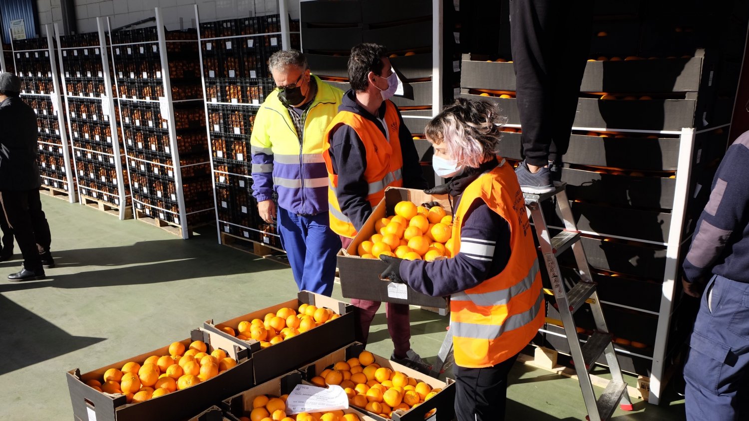 La Junta permite que ASAEC reparta más de 590.000 kilos de frutas y verduras a familias desfavorecidas