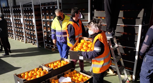 La Junta permite que ASAEC reparta más de 590.000 kilos de frutas y verduras a familias desfavorecidas