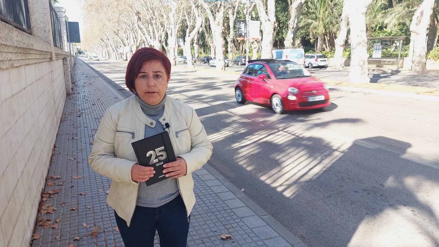 Unidas Podemos exige al alcalde que no gaste dinero público en 