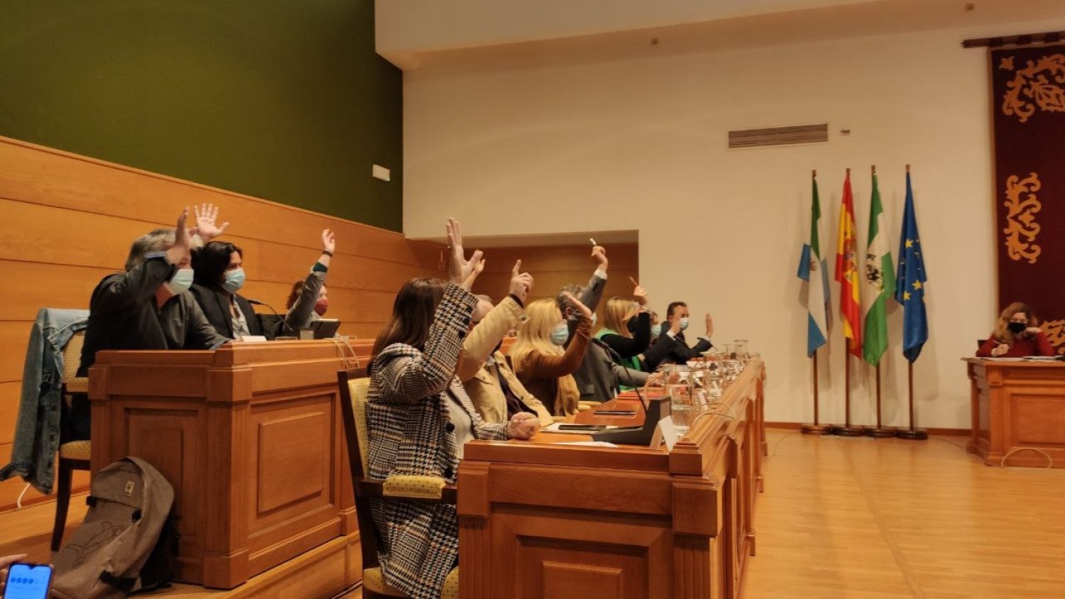 Torremolinos aprueba la moción presentada por Unidas Podemos en defensa de la sanidad pública