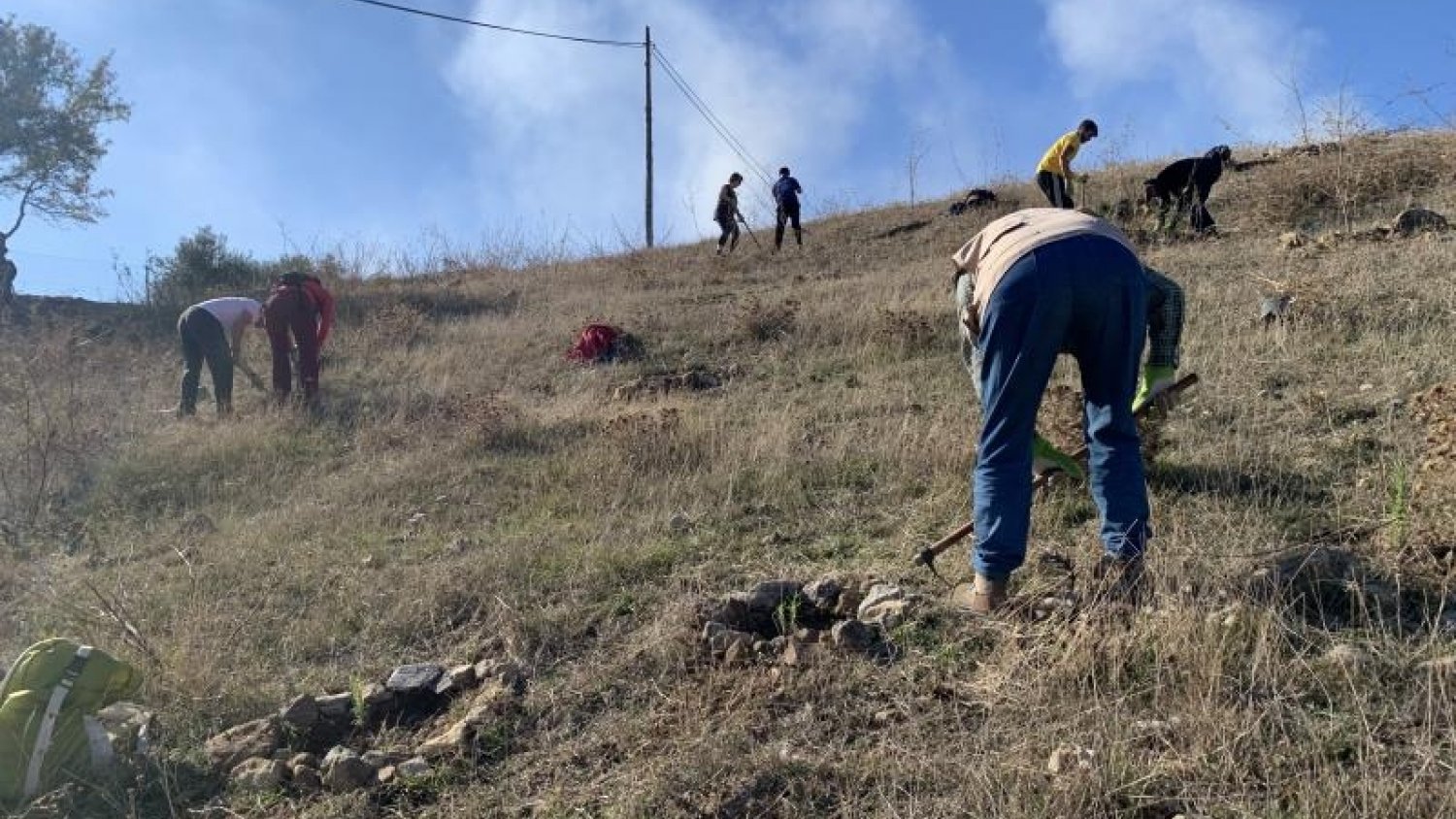 Diputación continúa sus acciones contra el cambio climático con 'arboladas' en tres municipios