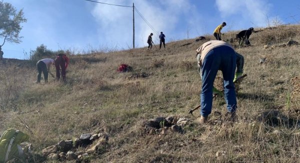 Diputación continúa sus acciones contra el cambio climático con 'arboladas' en tres municipios