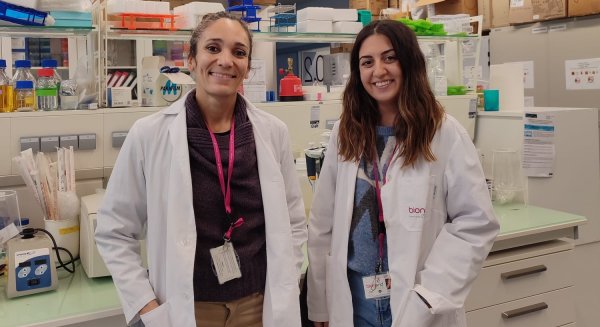 UMA.- Investigadoras de la UMA analizan las propiedades de las células madre derivadas de la sangre menstrual