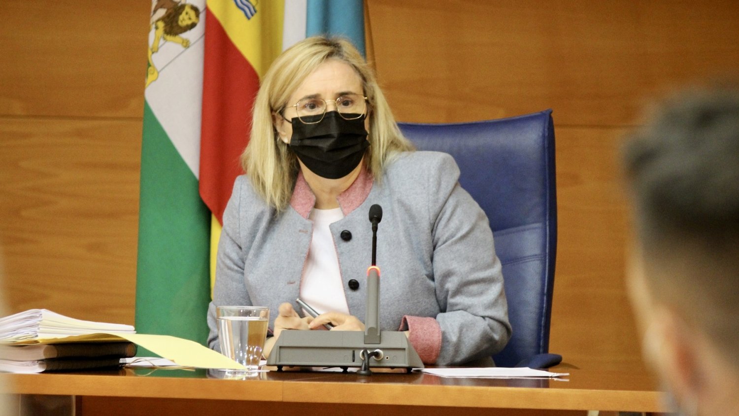 Fuengirola aprueba la revisión de su inventario municipal con un ascenso a 786M€