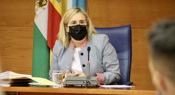 Fuengirola aprueba la revisión de su inventario municipal con un ascenso a 786M€