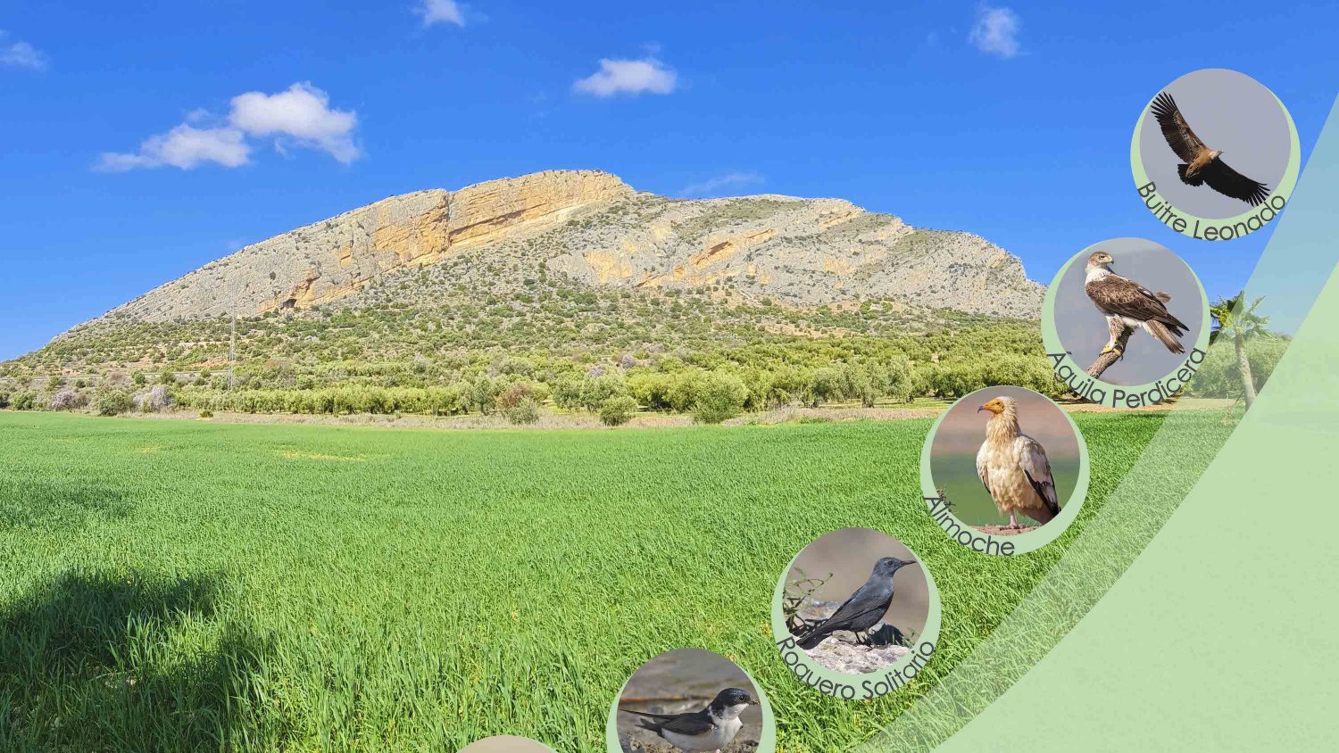 Campillos dará a conocer su potencial como destino en la XVII Feria Internacional de Turismo Ornitológico