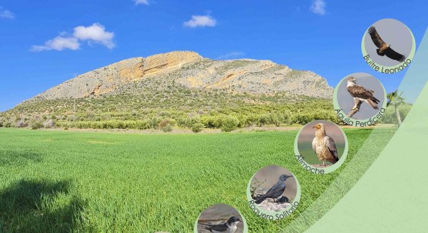 Campillos dará a conocer su potencial como destino en la XVII Feria Internacional de Turismo Ornitológico