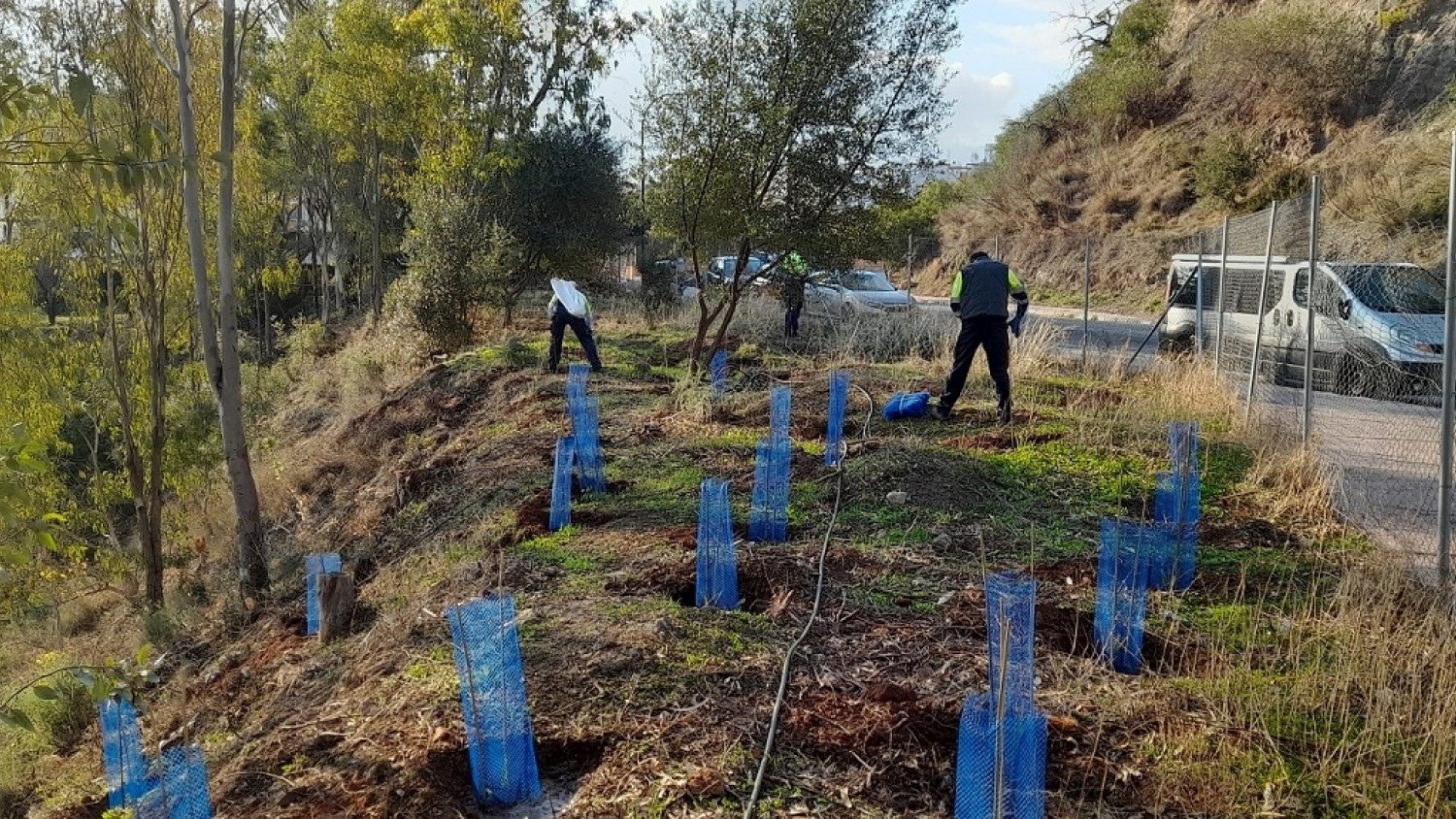 La campaña de reforestación de 2021 concluye con la plantación de 13.000 árboles