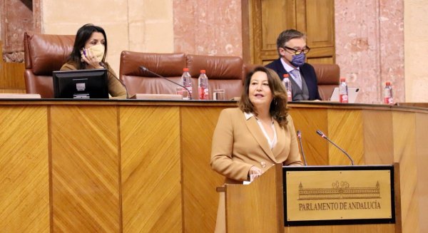La LECA se presenta en el Parlamento andaluz como 