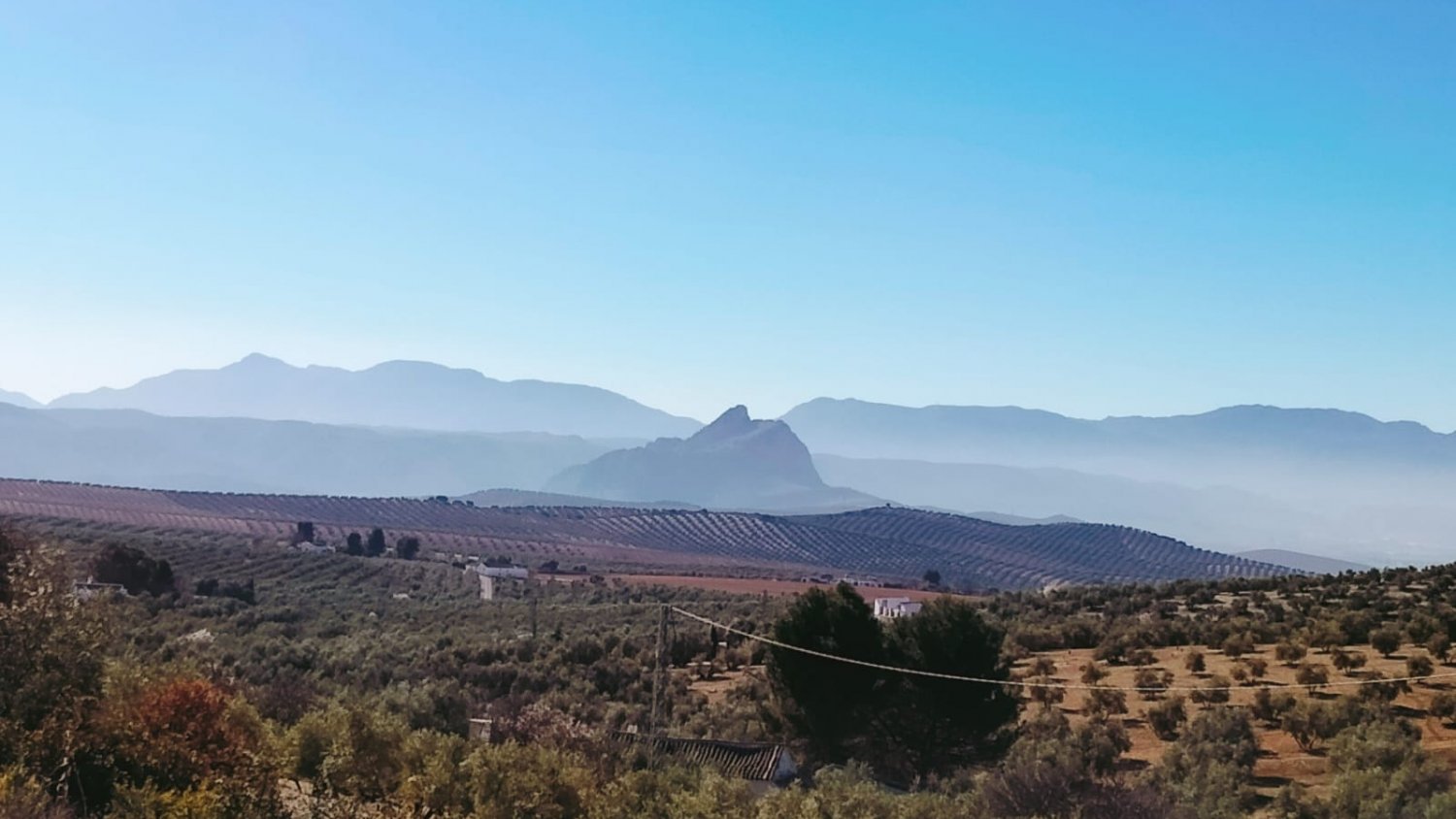 Más de 7.400 agricultores de Málaga sufrirán recortes con el nuevo modelo de aplicación de la PAC