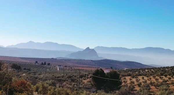 Más de 7.400 agricultores de Málaga sufrirán recortes con el nuevo modelo de aplicación de la PAC