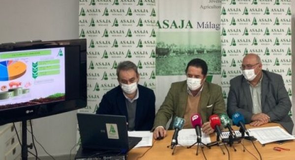 Asaja Málaga afirma que la reforma laboral atenta directamente contra el sector agrario