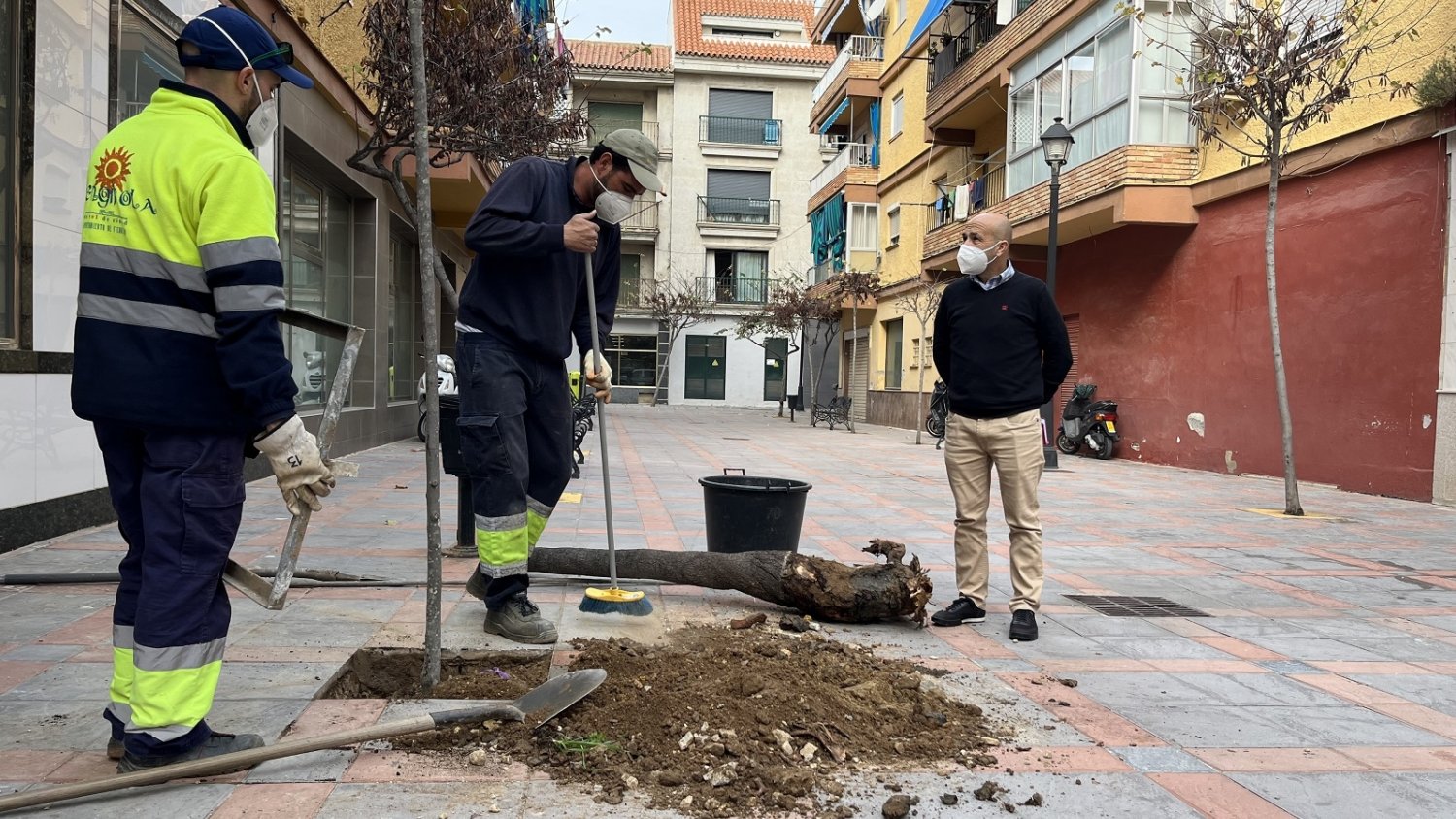 Fuengirola impulsa un Plan de Repoblación Vegetal Urbana en los barrios de la ciudad