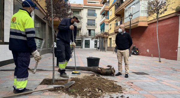 Fuengirola impulsa un Plan de Repoblación Vegetal Urbana en los barrios de la ciudad