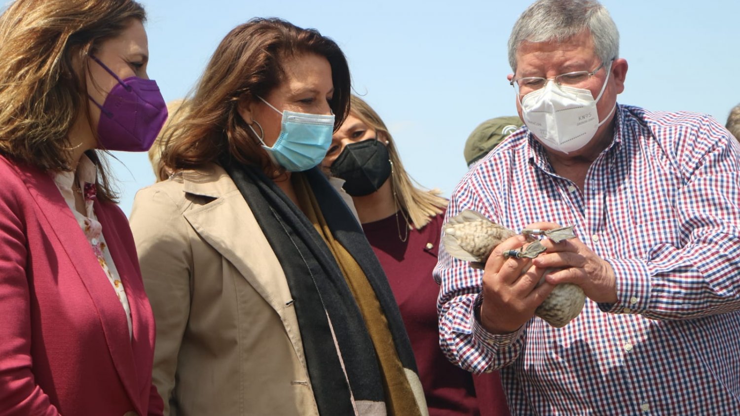 Los humedales de Andalucía registran durante la invernada 819.300 ejemplares de 101 especies