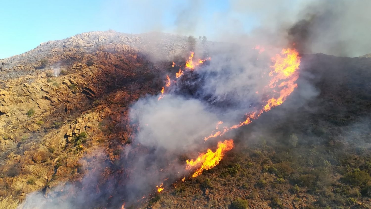Infoca declara un incendio forestal en Ojén