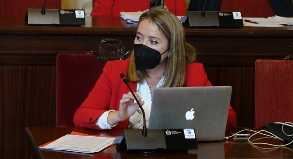 PSOE señala que el Ayuntamiento de Málaga ha abusado de los contratos de emergencia