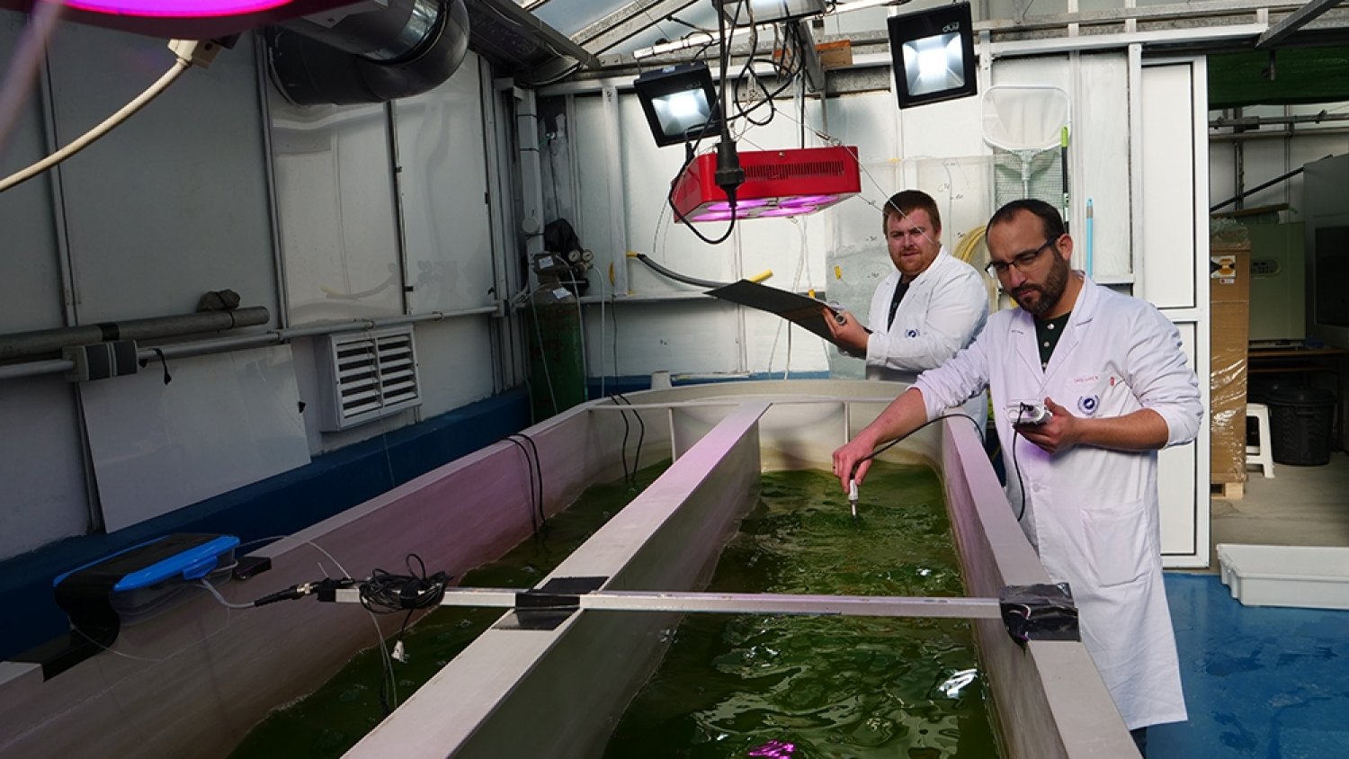 IBYDA, el nuevo Instituto andaluz de Biotecnología y Desarrollo Azul de la UMA