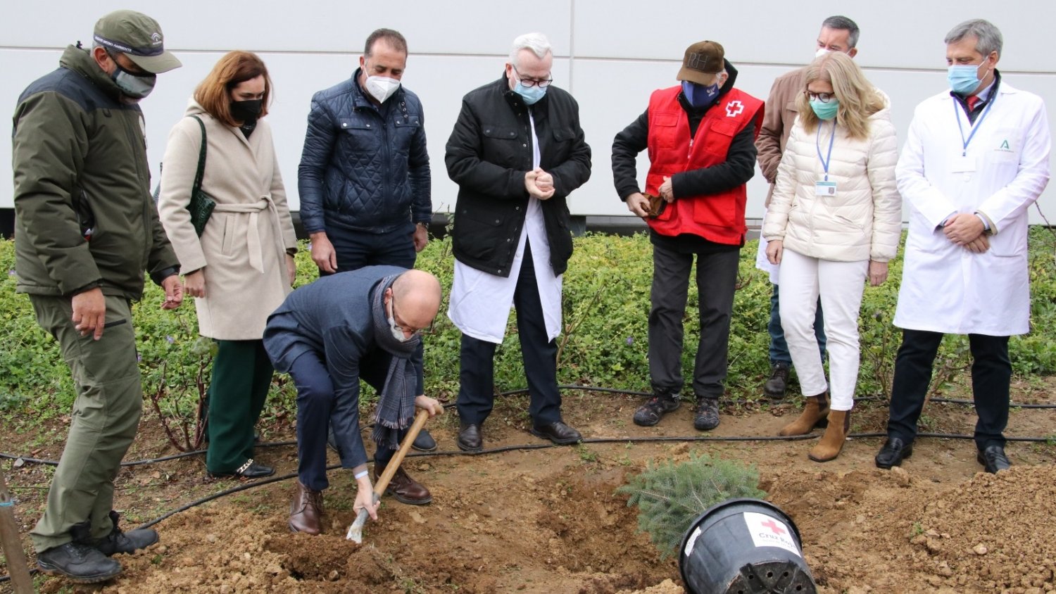 Hospital de la Serranía de Ronda planta dos pinsapos para conmemorar sus aniversarios