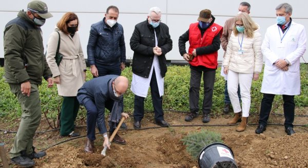 Hospital de la Serranía de Ronda planta dos pinsapos para conmemorar sus aniversarios