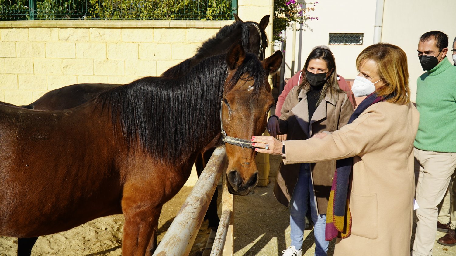 PSOE pide al Ayuntamiento la ampliación de horario del Zoosanitario