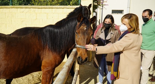 PSOE pide al Ayuntamiento la ampliación de horario del Zoosanitario