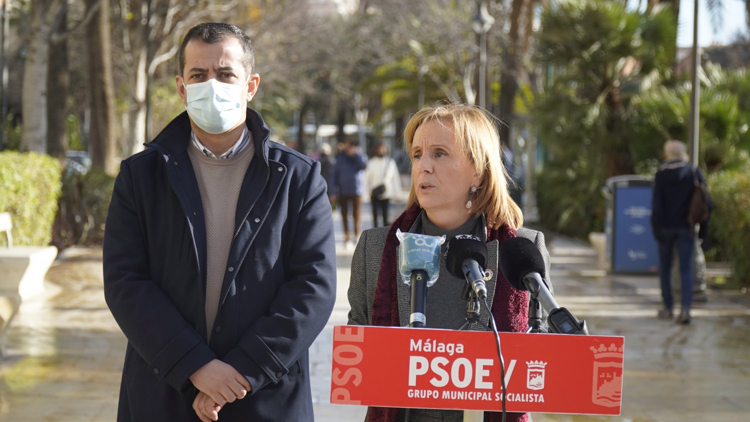 PSOE pide al Ayuntamiento la renaturalización de los centros educativos
