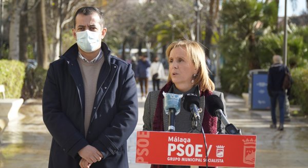 PSOE pide al Ayuntamiento la renaturalización de los centros educativos