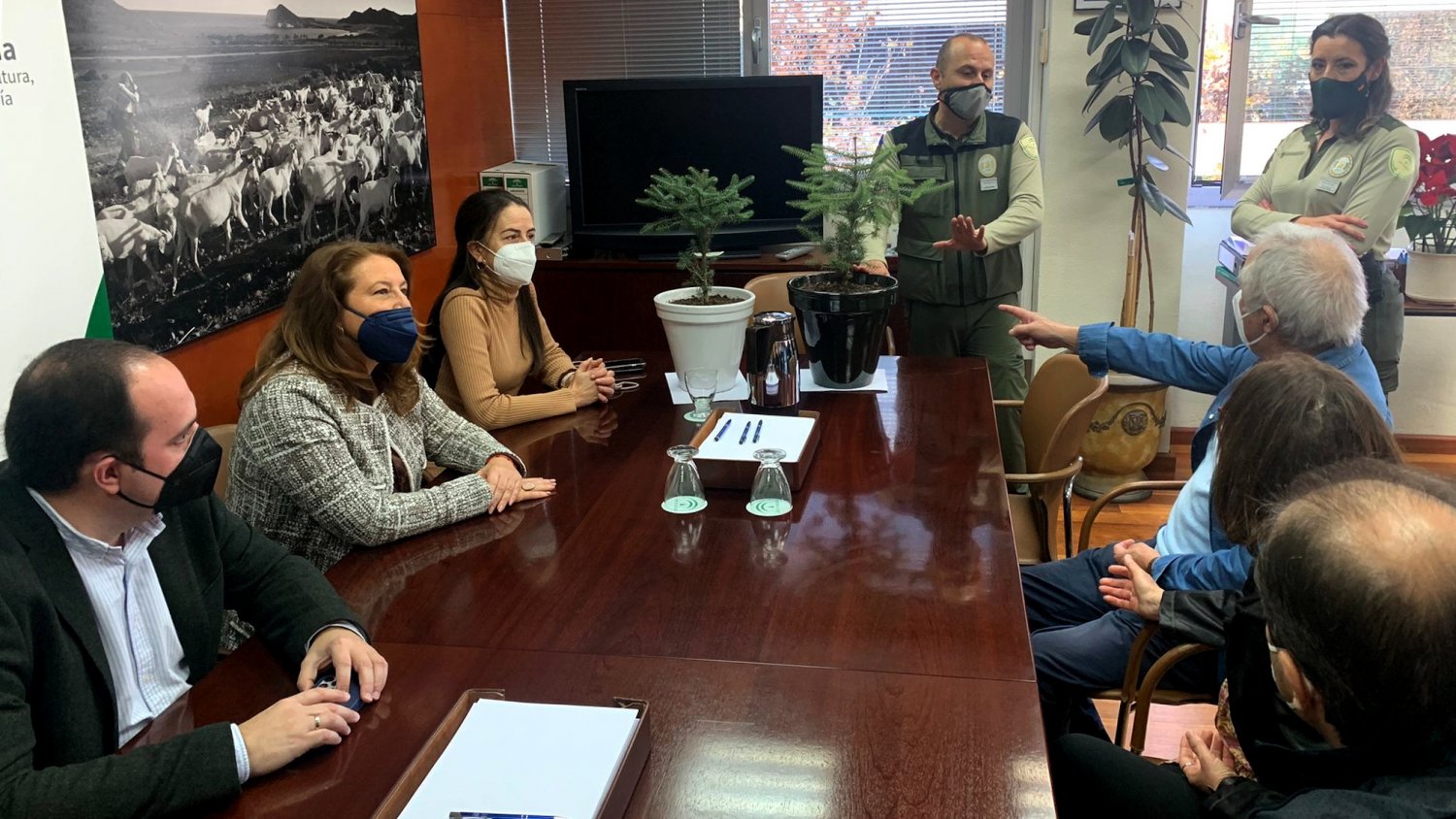 Carmen Crespo hace entrega de dos pinsapos de Sierra Bermeja a la familia de Carlos Martínez
