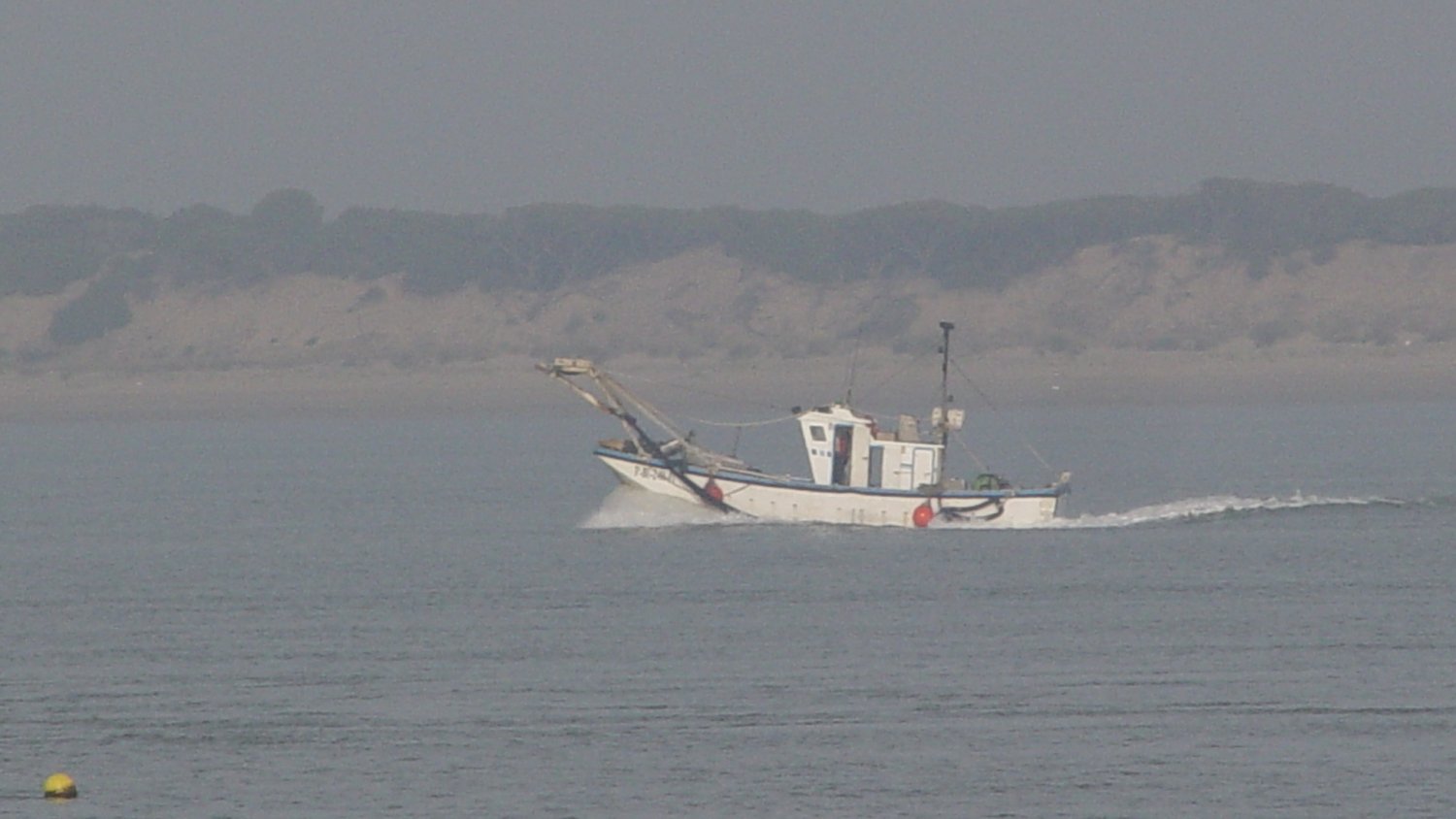La Consejería de Pesca resuelve 4,6M€ en ayudas por paradas temporales y el alga invasora en 2021