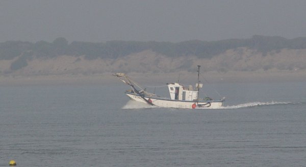 La Consejería de Pesca resuelve 4,6M€ en ayudas por paradas temporales y el alga invasora en 2021