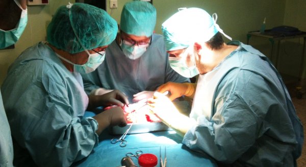 El Hospital Regional de Málaga realiza 14 trasplantes de órganos en 15 días