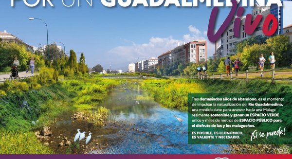 Unidas Podemos reclama a De la Torre que se acoja a una subvención del Gobierno para la renaturalización del Guadalmedina