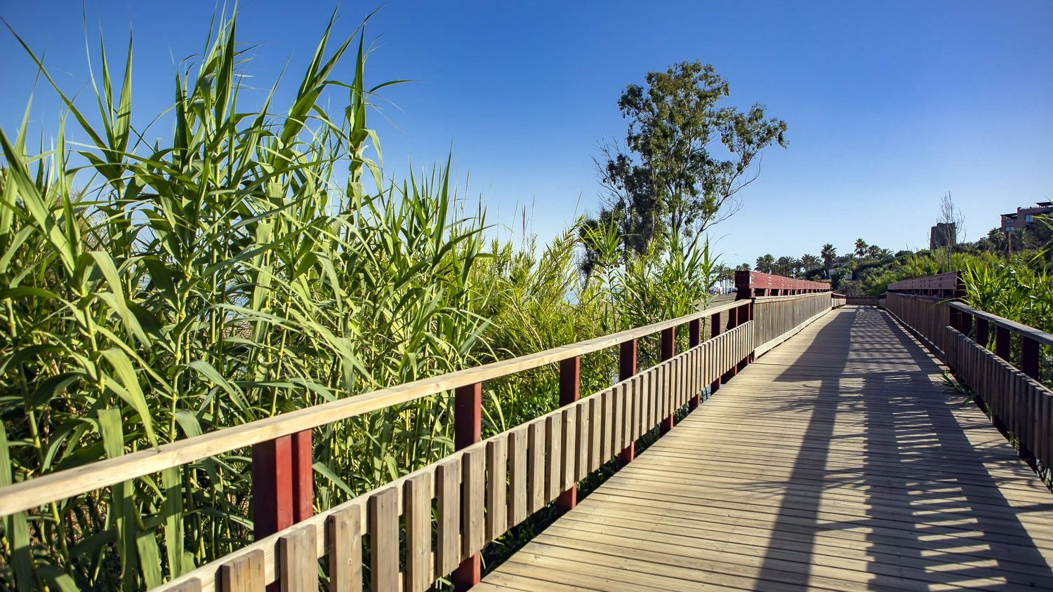 Estepona finaliza los trabajos de puesta a punto del corredor litoral