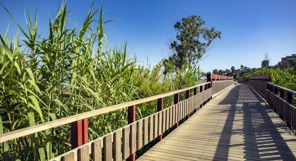 Estepona finaliza los trabajos de puesta a punto del corredor litoral