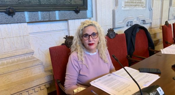 Unidas Podemos rechaza que los fondos de inversión gestionen parte del parque público de vivienda de Málaga