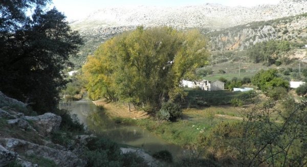 ACUAES y la Junta invierten 26,6 millones de euros en mejoras para la cuenca del río Guadiaro