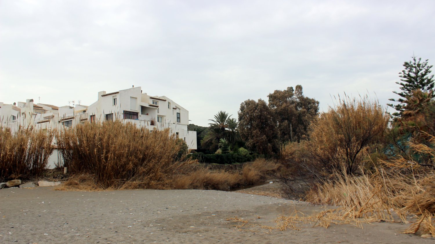Estepona licita las obras para la ejecución de un tramo de corredor litoral en Arroyo Vaquero