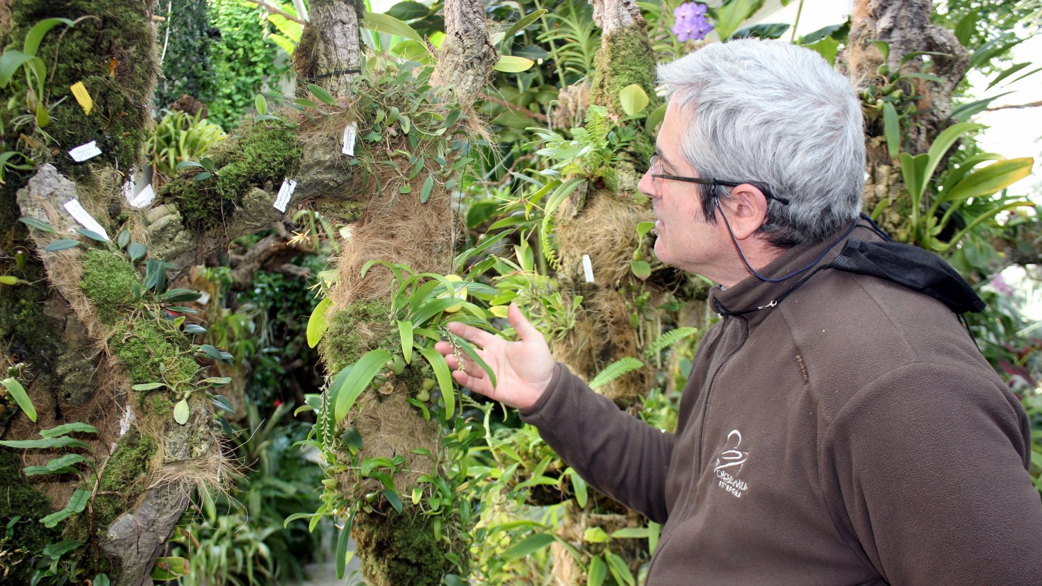 El Parque Botánico-Orquidario de Estepona acoge la floración de más de una treintena de nuevas especies