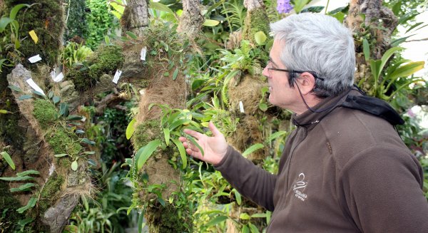 El Parque Botánico-Orquidario de Estepona acoge la floración de más de una treintena de nuevas especies