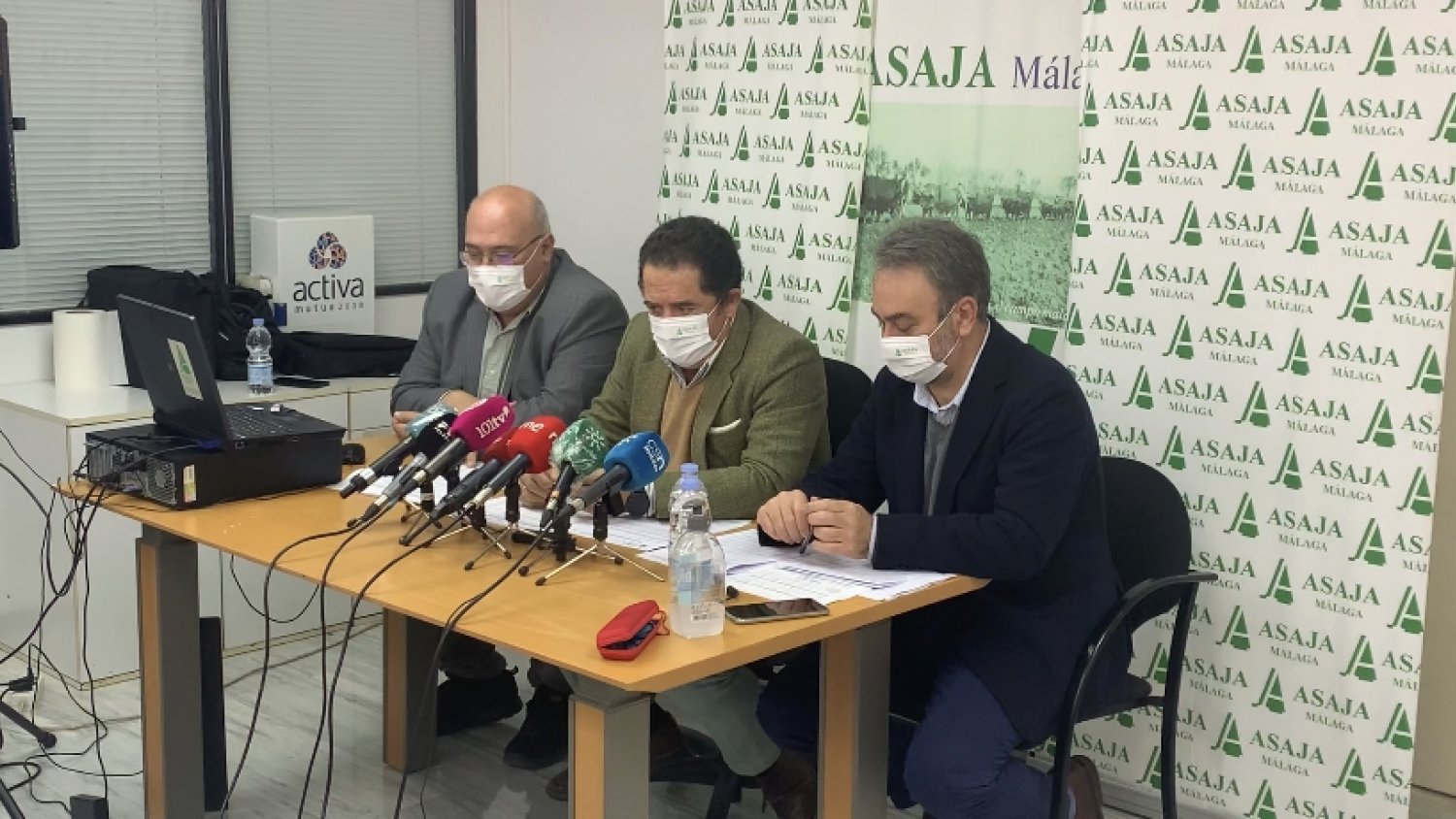 La agricultura y la ganadería cada vez menos rentables en la provincia de Málaga