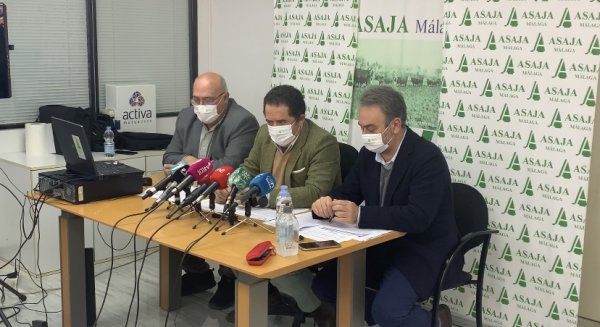 La agricultura y la ganadería cada vez menos rentables en la provincia de Málaga