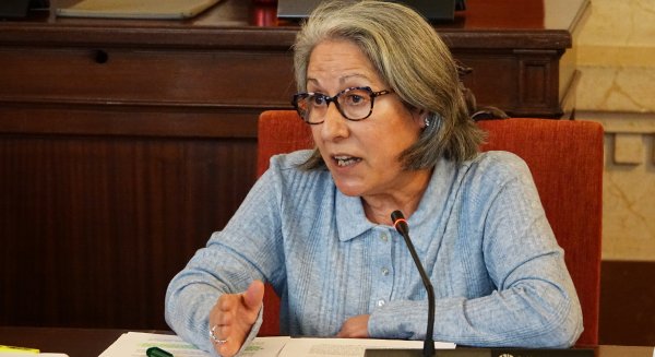 PSOE denuncia la oposición de PP y Cs para pedir a la Junta ayudas extraordinarias para pymes y autónomos