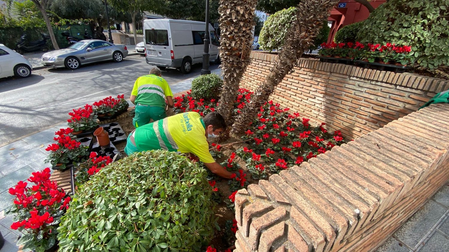 Marbella finaliza el Plan de Embellecimiento de Navidad con cerca de 60.000 plantaciones